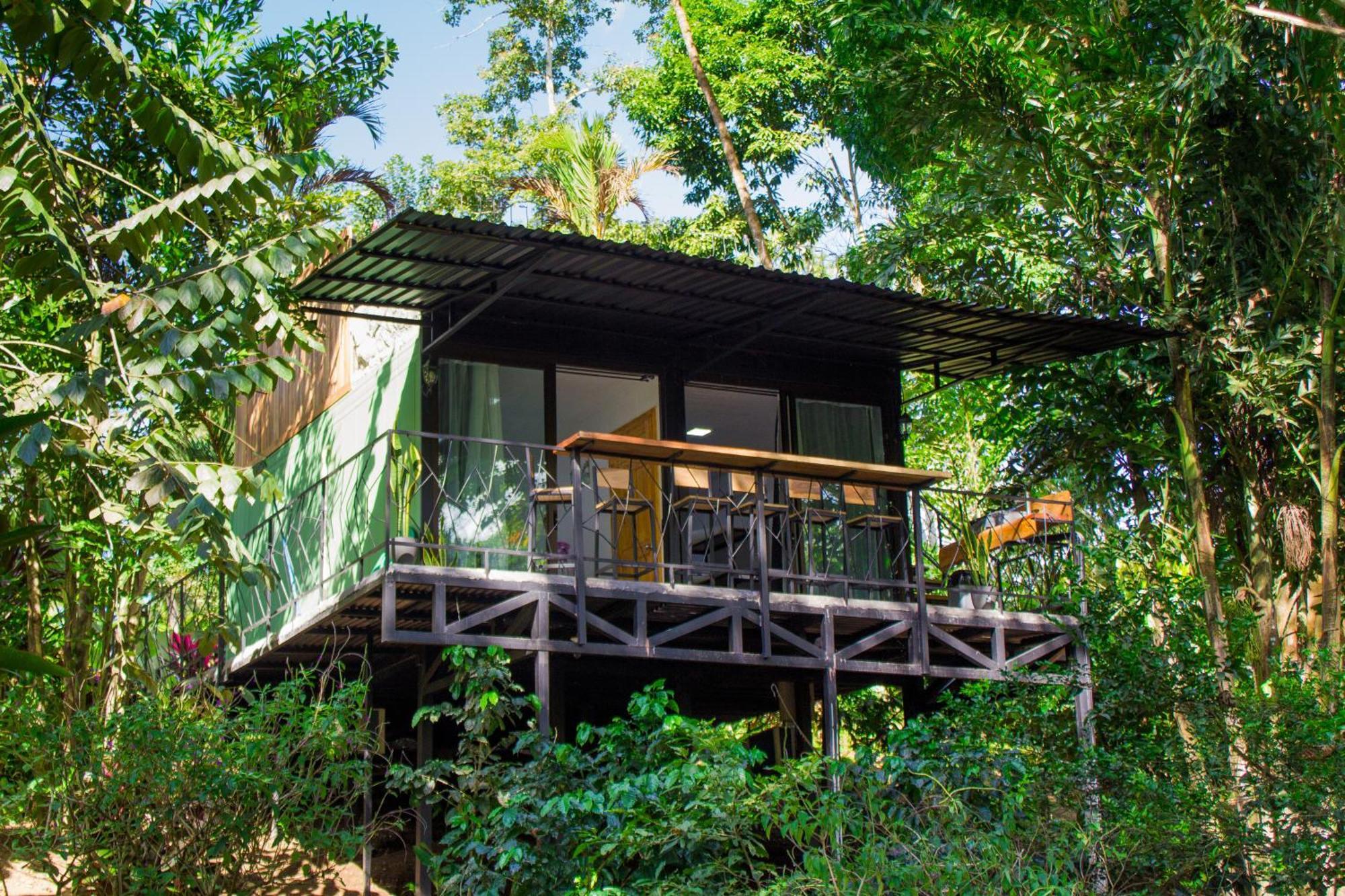 Eden Organic Farm & Bungalows La Fortuna Rum bild